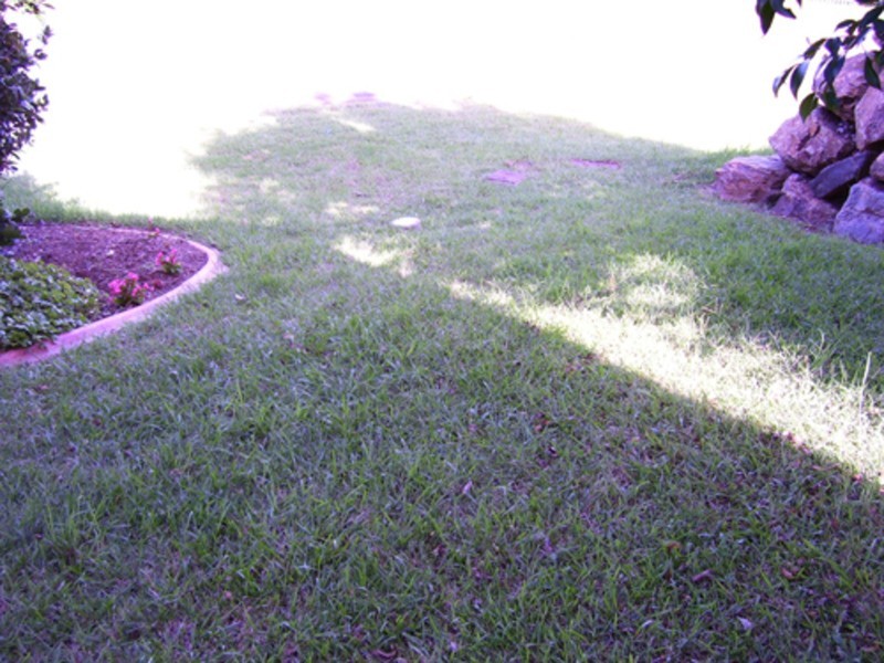 Banora Point NSW 2486