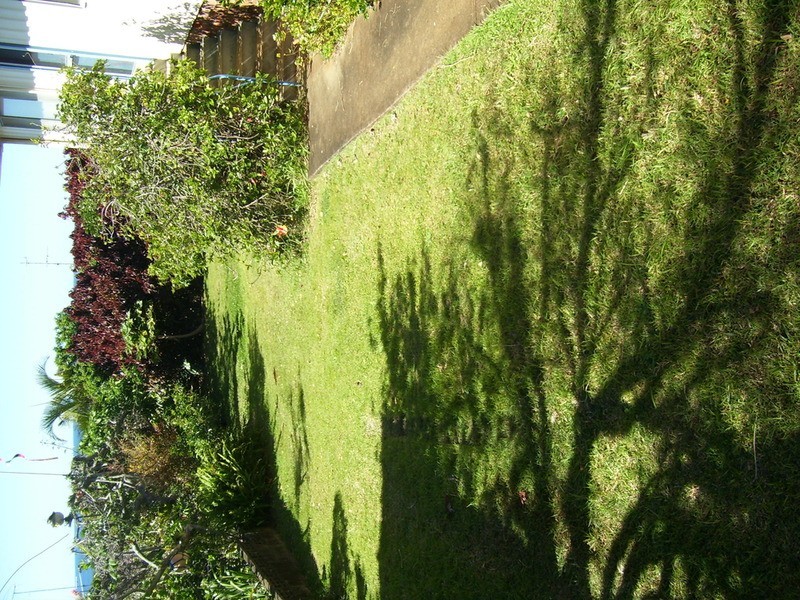 Banora Point NSW 2486