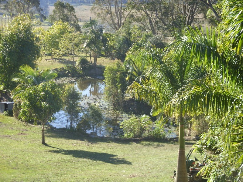 Bilambil NSW 2486