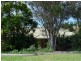 19 Honeymyrtle Drive, Banora Point NSW 2486