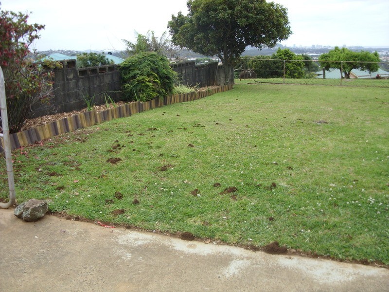 Banora Point NSW 2486