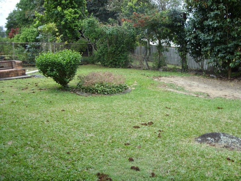 Banora Point NSW 2486