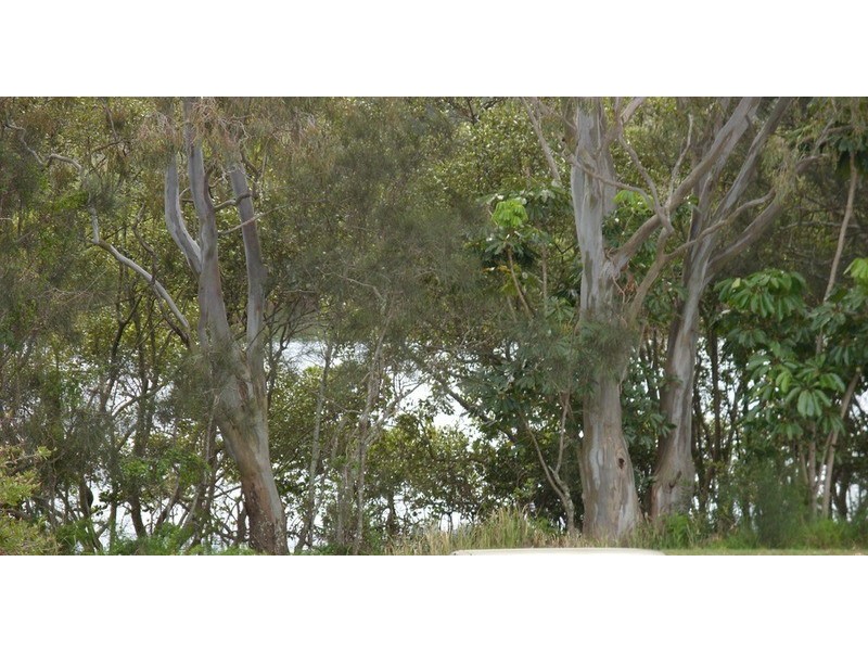 Tweed Heads South NSW 2486