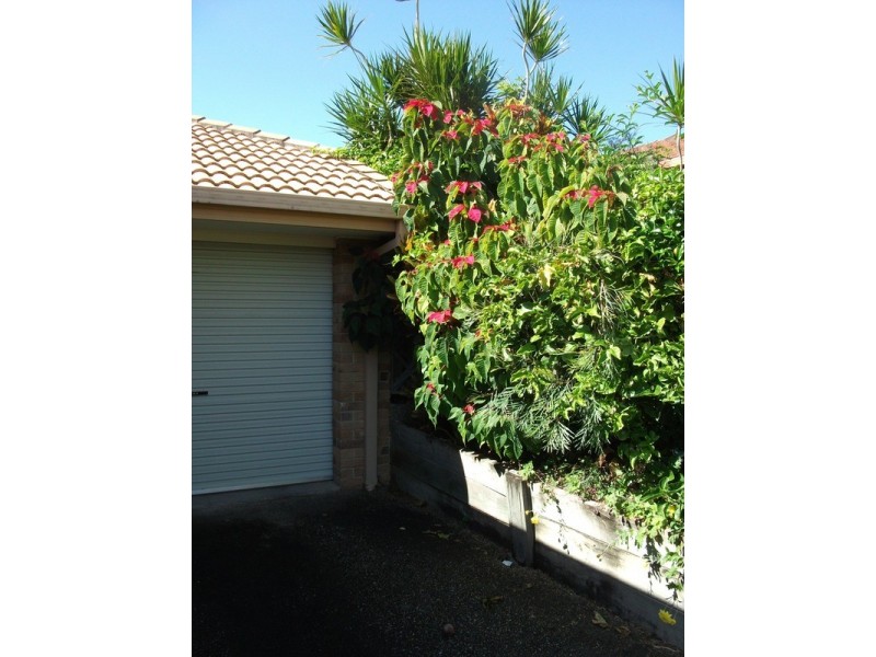 Banora Point NSW 2486