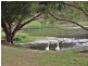 8 Biral Close, Bilambil NSW 2486