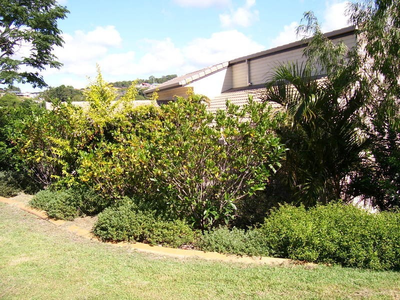 7 Donegal Court, Banora Point NSW 2486