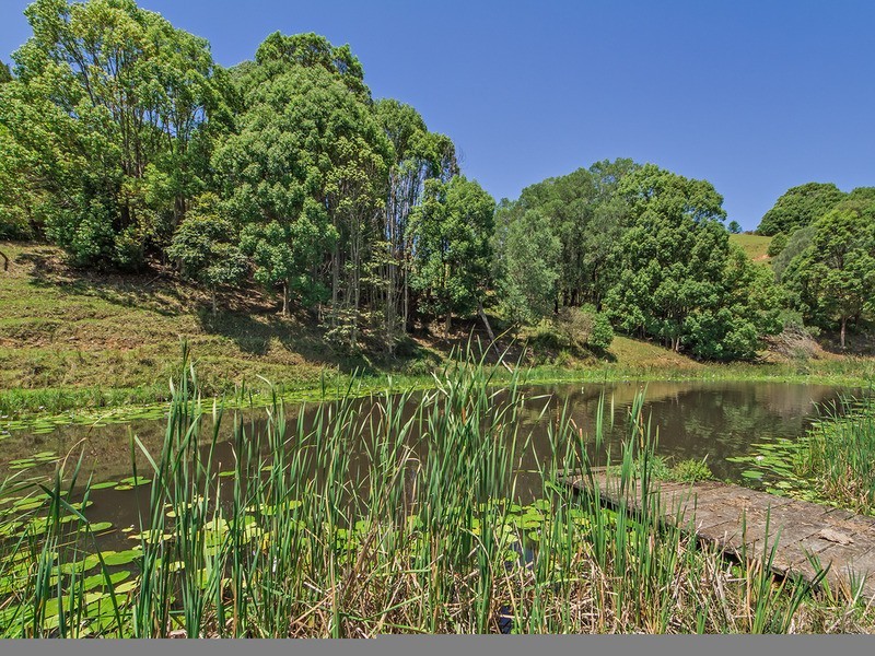 31 Eva Crescent, Piggabeen NSW 2486