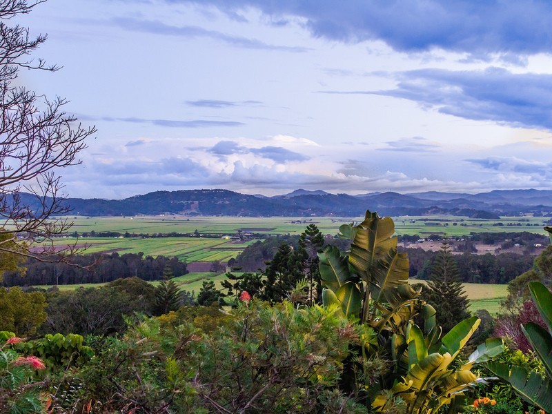 8 Balfours Road, Terranora NSW 2486