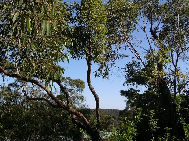 15 Fraser Road, Cowan NSW 2081