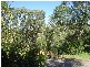 31 Appletree Drive, Cherrybrook NSW 2126