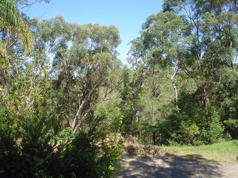 31 Appletree Drive, Cherrybrook NSW 2126
