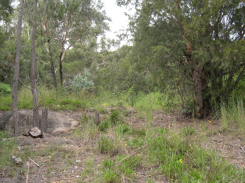 37 Greenview Parade, Berowra NSW 2081