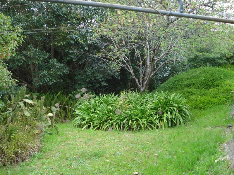 4 Flora Avenue, Mount Colah NSW 2079