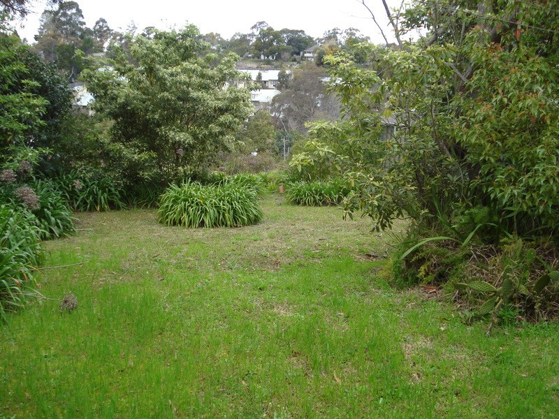 4 Flora Avenue, Mount Colah NSW 2079
