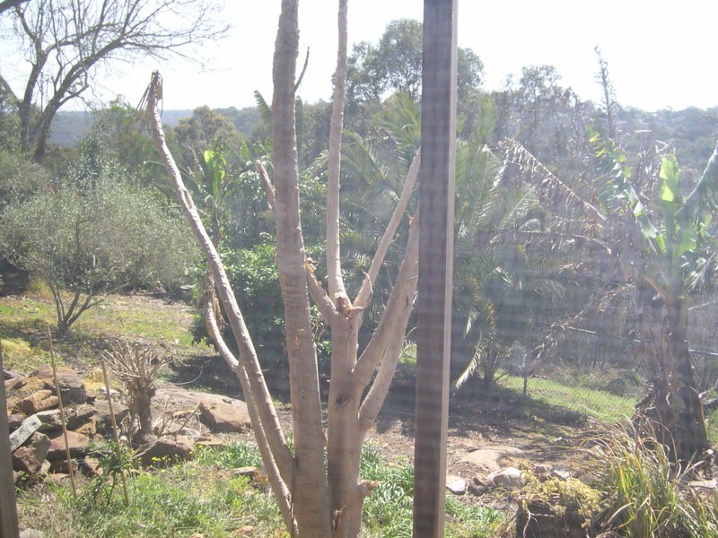 Flat/2 Crowley Road, Berowra NSW 2081