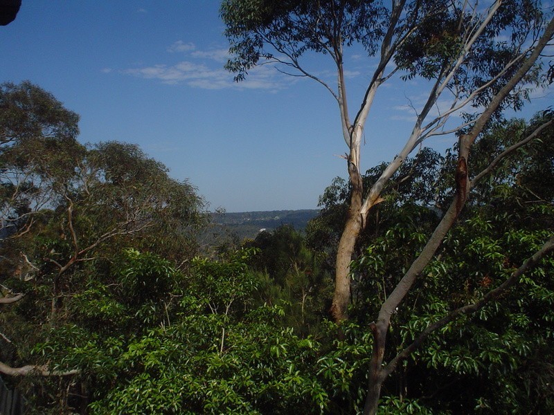 11 Alston Drive, Berowra Heights NSW 2082