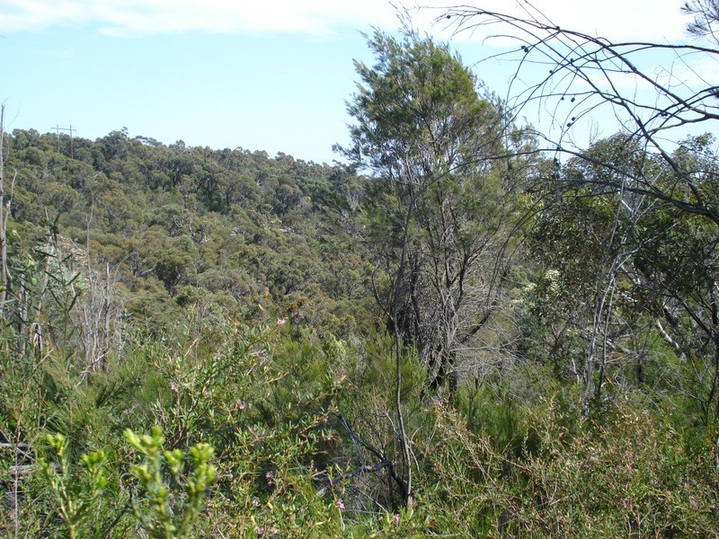 1291 Pacific Highway, Cowan NSW 2081