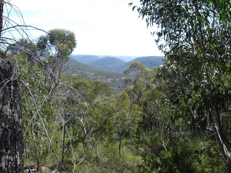 1291 Pacific Highway, Cowan NSW 2081