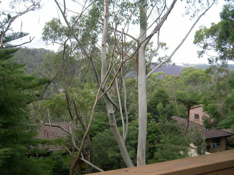 9 Redwood Avenue, Berowra NSW 2081