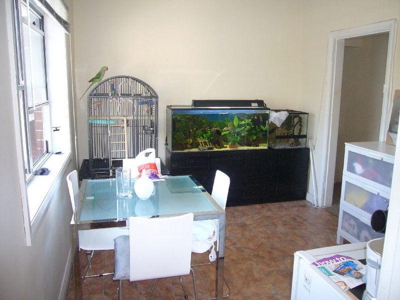 20a Tooronga  Terrace, Beverly Hills NSW 2209