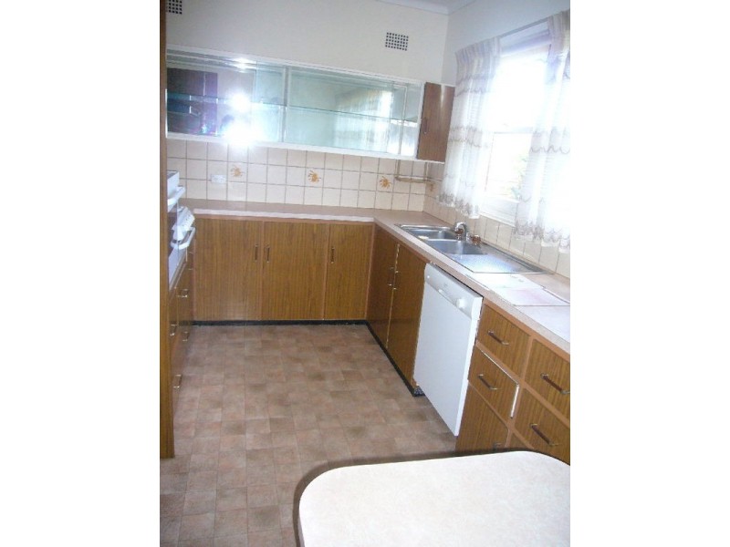 19 Frederick Avenue, Beverly Hills NSW 2209