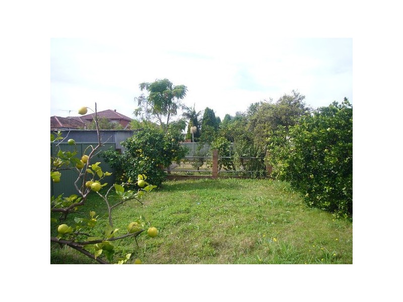 19 Frederick Street, Beverly Hills NSW 2209