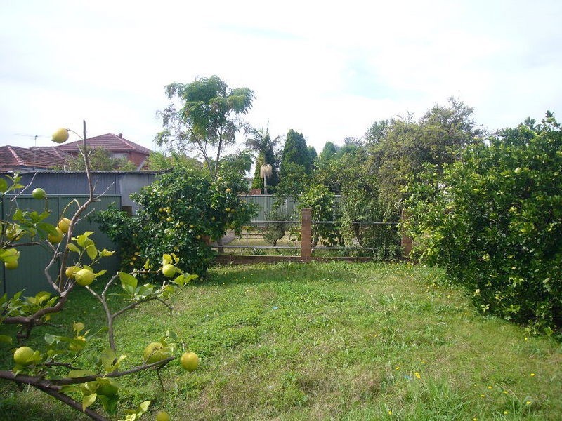 19 Federick Avenue, Beverly Hills NSW 2209