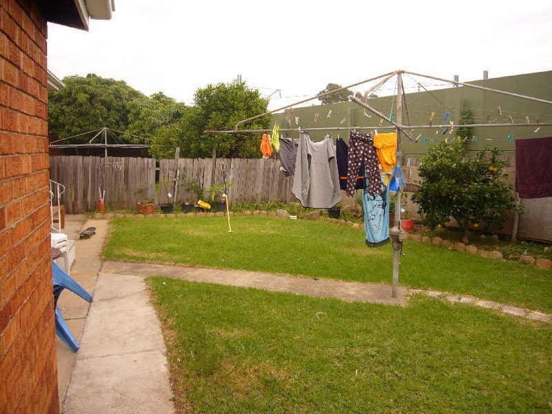 7 Mashman Avenue, Kingsgrove NSW 2208