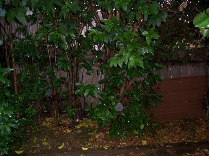 393 King Georges Road, Beverly Hills NSW 2209