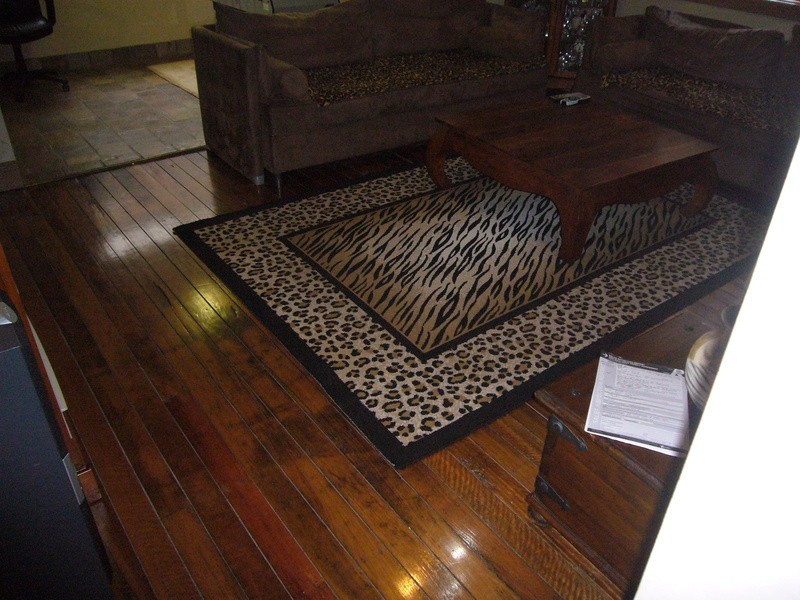 12 Clio Street, Wiley Park NSW 2195