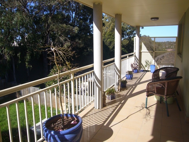 23 Glamis Street, Kingsgrove NSW 2208