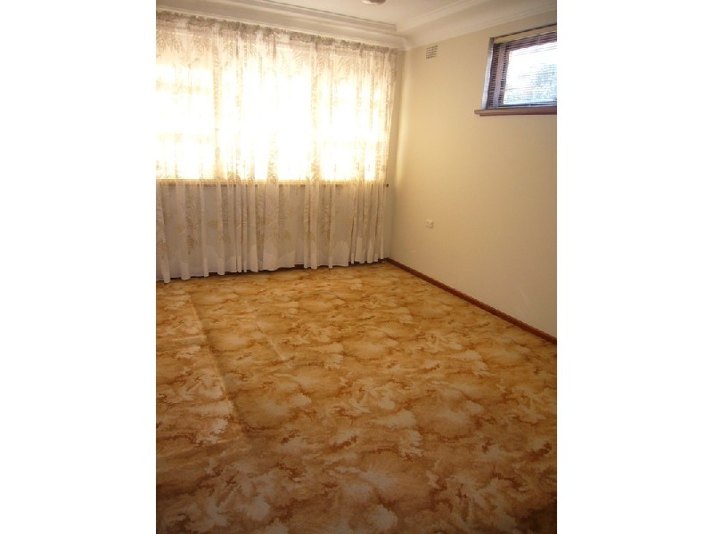 17 Frederick Avenue, Beverly Hills NSW 2209