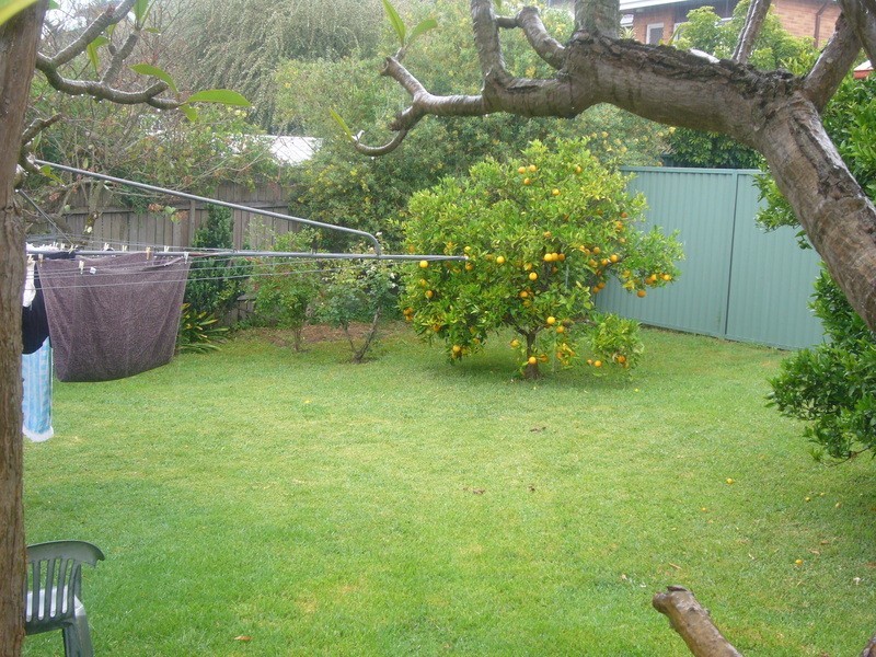 29 Bonds Road, Riverwood NSW 2210