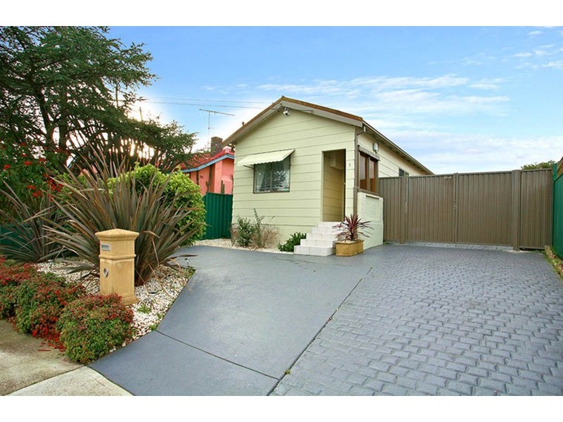 3 Charlescotte Avenue, Punchbowl NSW 2196