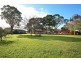 17 Wiggins Avenue, Beverly Hills NSW 2209