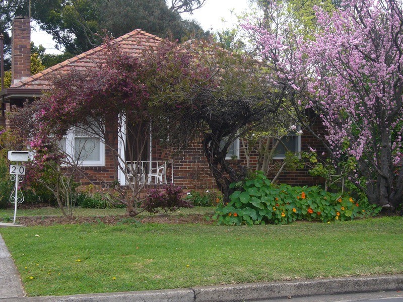 20 Werona Avenue, Punchbowl NSW 2196