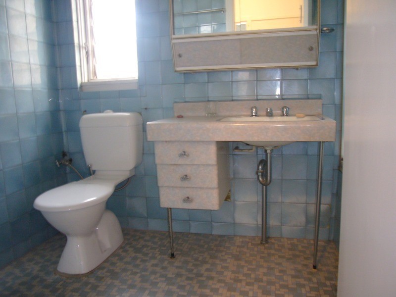 20 Werona Avenue, Punchbowl NSW 2196