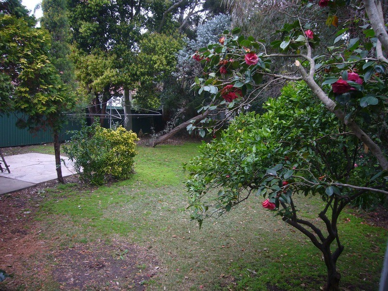 20 Werona Avenue, Punchbowl NSW 2196