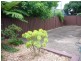 112 Morgan Street, Kingsgrove NSW 2208