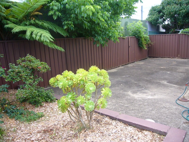 112 Morgan Street, Kingsgrove NSW 2208