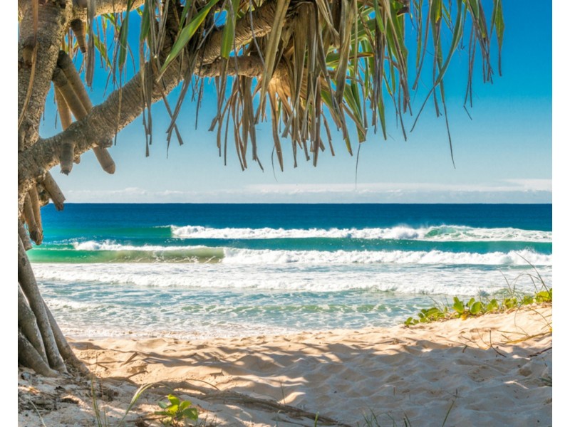 6 Gaggin Street, New Brighton NSW 2483