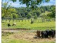 284 Left Bank Road, Mullumbimby NSW 2482