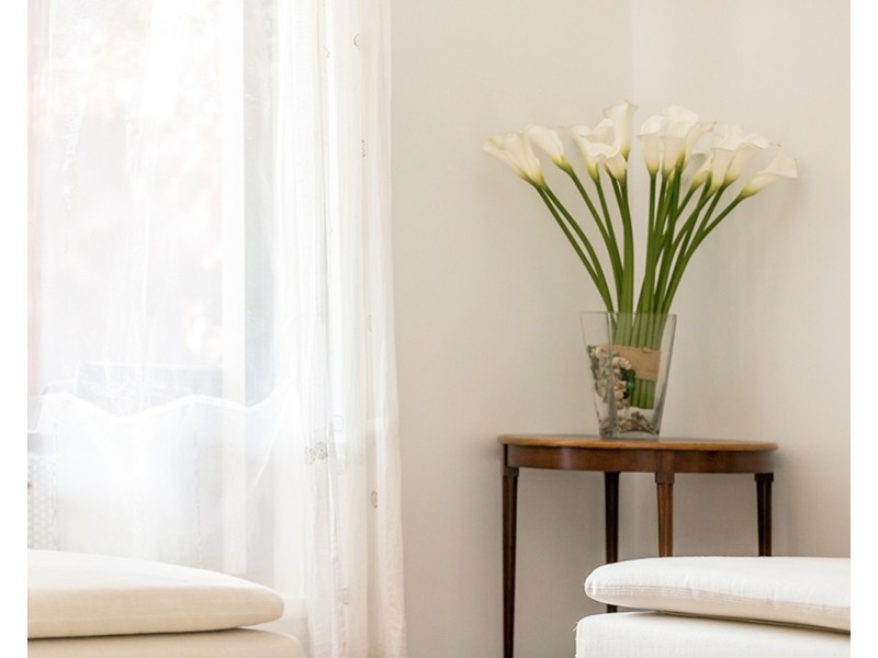 8 Barkala Court, Ocean Shores NSW 2483