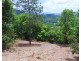 Lot 1 Wilsons Creek Road, Wilsons Creek NSW 2482