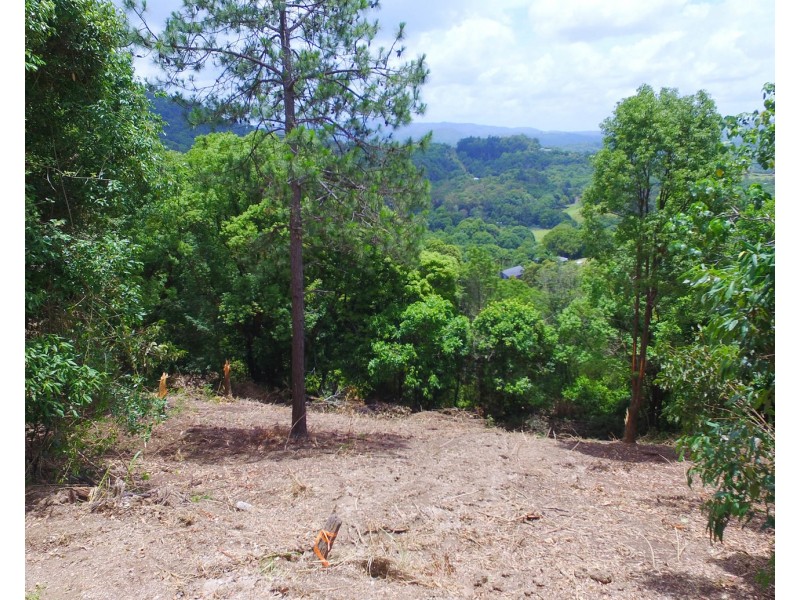 Lot 1 Wilsons Creek Road, Wilsons Creek NSW 2482