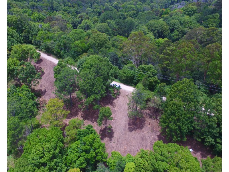 Lot 1 Wilsons Creek Road, Wilsons Creek NSW 2482