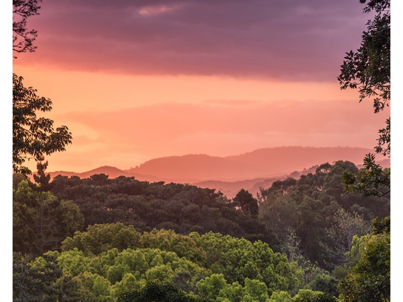 4 Newes Road, Coorabell NSW 2479