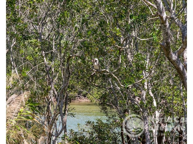 6 Short Street, New Brighton NSW 2483