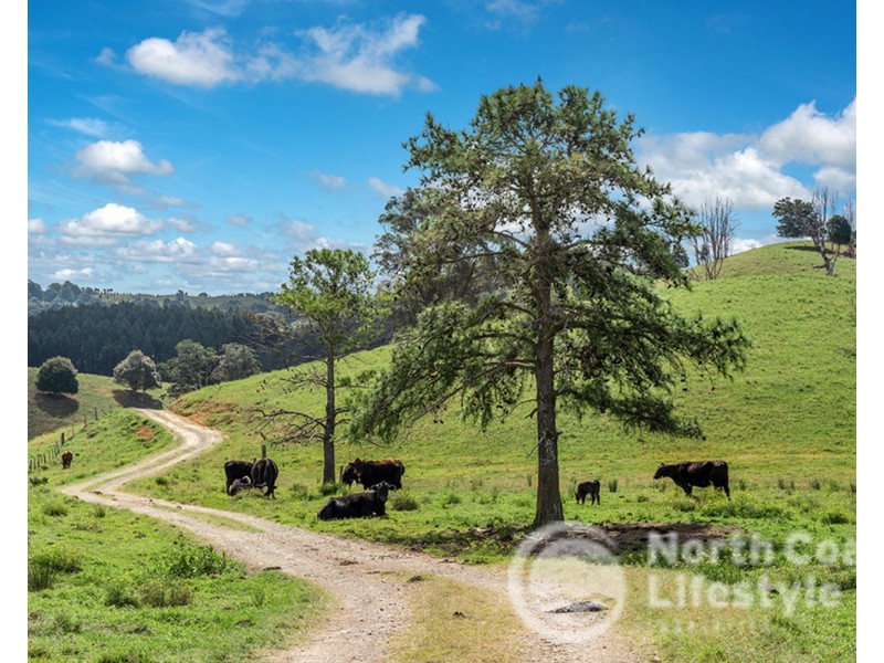 343 Main Arm Road, Mullumbimby NSW 2482