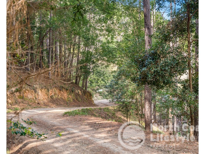 343 Main Arm Road, Mullumbimby NSW 2482